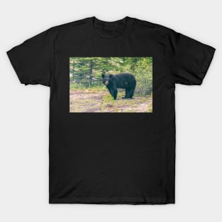 Mother Bear T-Shirt